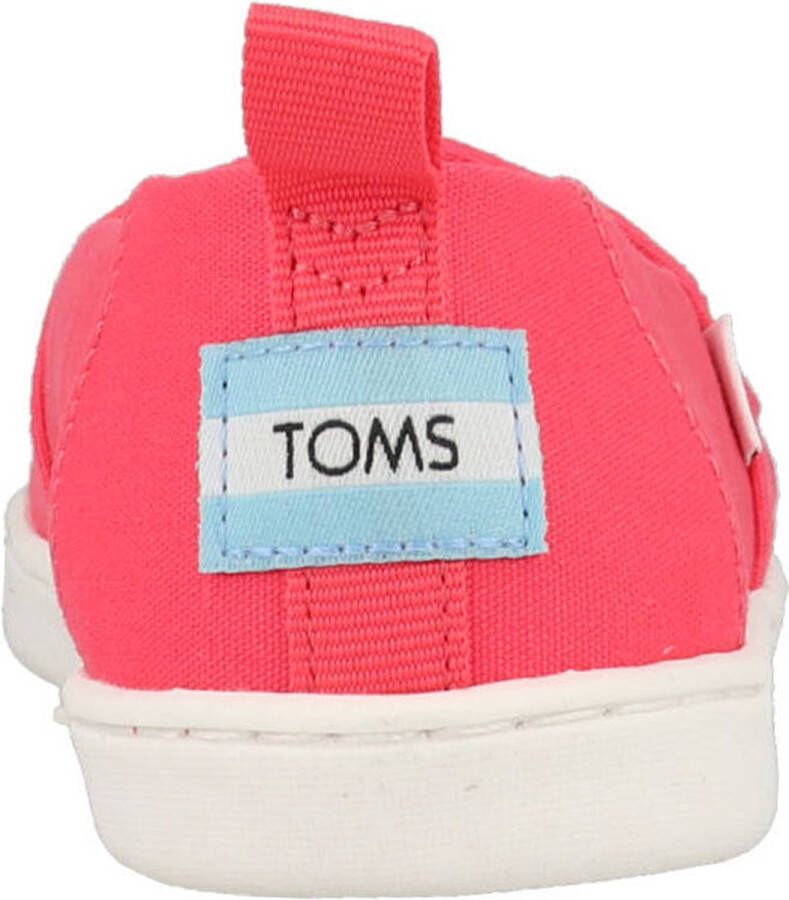 TOMS Alpargata 10017769 Roze