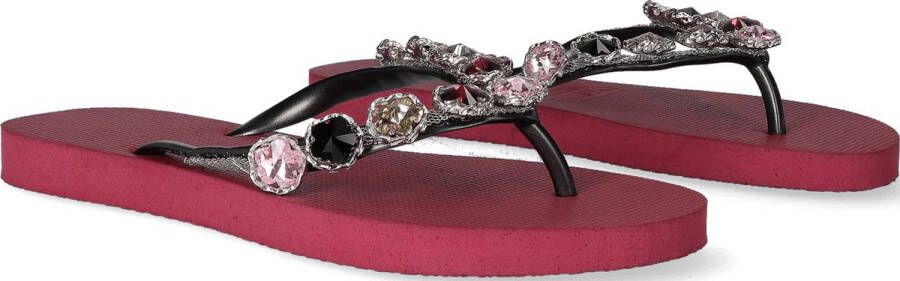 Uzurii Alegria Ruby slippers dames (18.248.07)