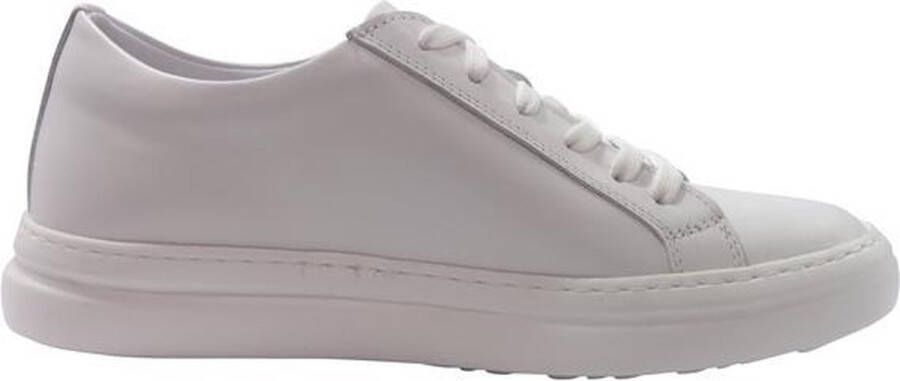 Van Driel Shoes Van Driel Exclusive Sneakers Madrid Wit