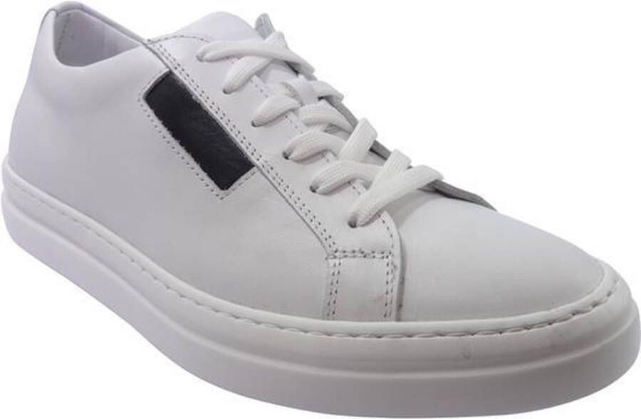 Van Driel Shoes Van Driel Exclusive Sneakers Madrid Wit