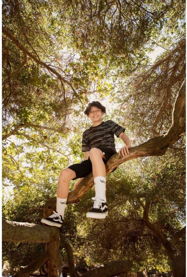 Vans Sneaker Laag My Ward Platform Canvas Black Zwart - Foto 18