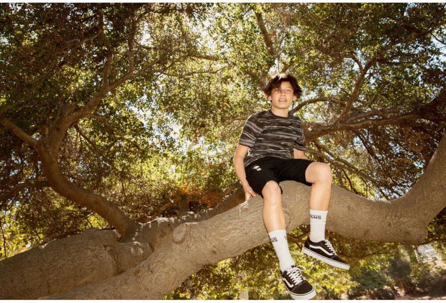 Vans Sneaker Laag My Ward Platform Canvas Black Zwart - Foto 17