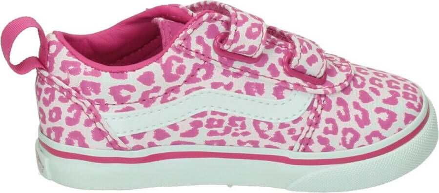 Vans Ward V FUCHSIA