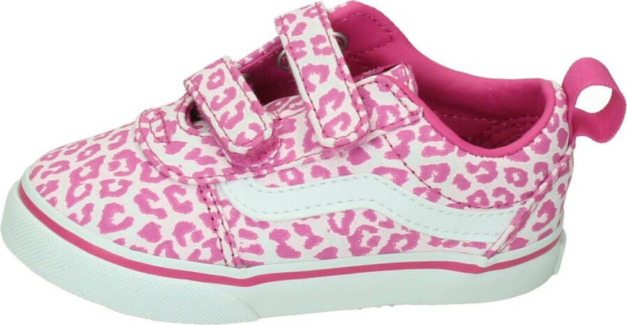 Vans Ward V FUCHSIA