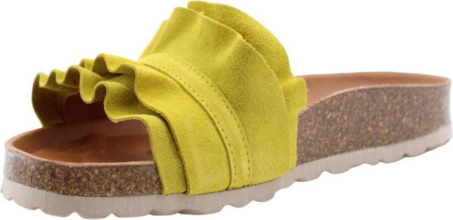 Verbenas Slipper Yellow