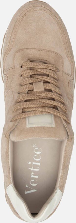 Vertice Sneakers taupe Suede
