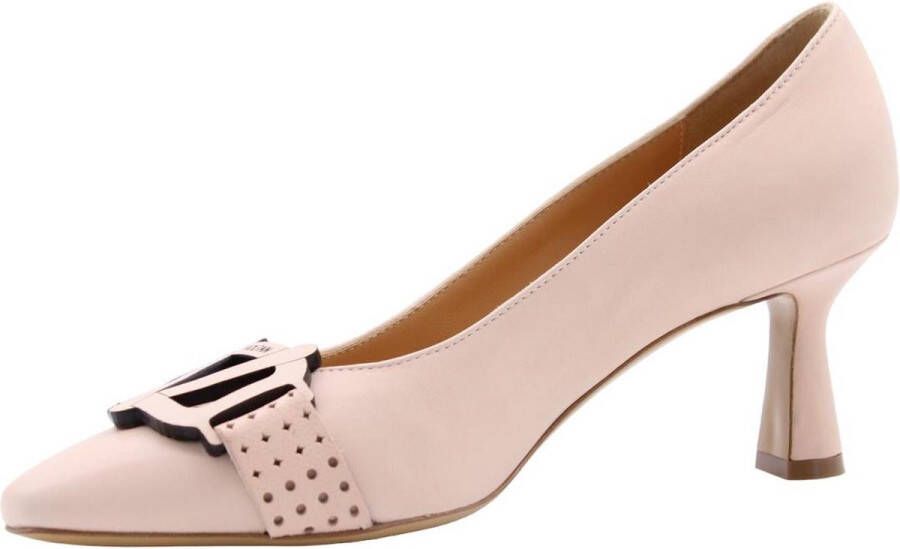 Voltan Pump Divers