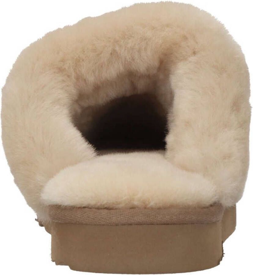 Warmbat Flurry Suede Dames Sloffen Camel
