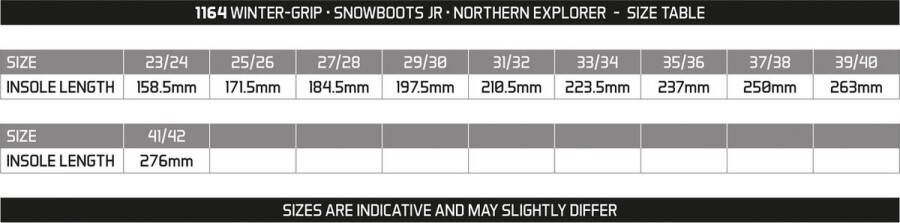 Winter-grip Snowboots Jr Northern Explorer Bruin Antraciet Lichtgroen - Foto 3