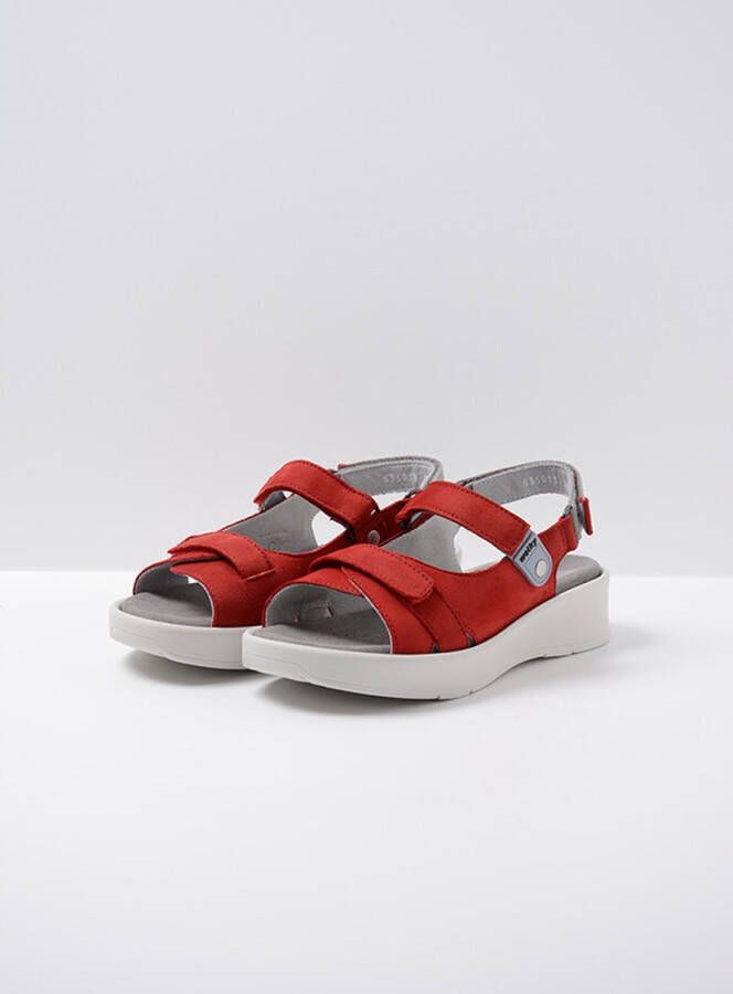 Wolky Sandalen Globe