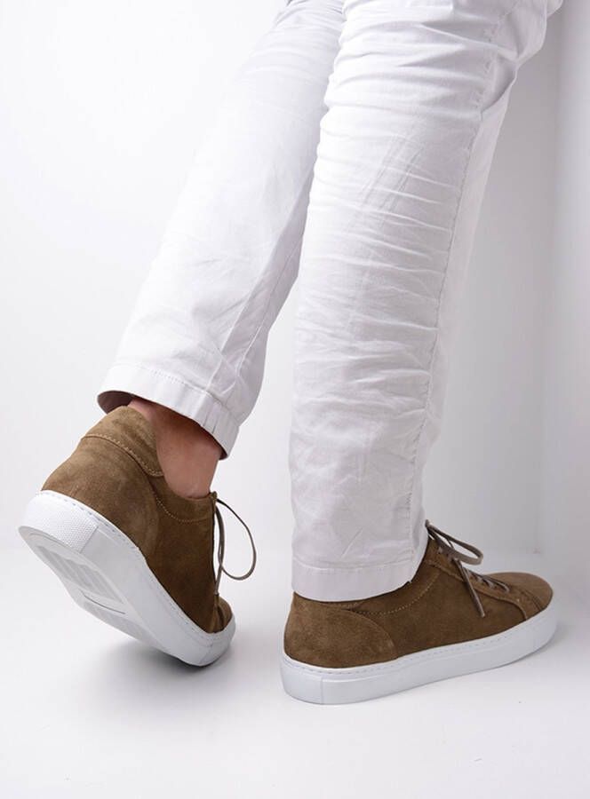 Wolky Shoe > Heren > Sneakers Forecheck donker taupe suede