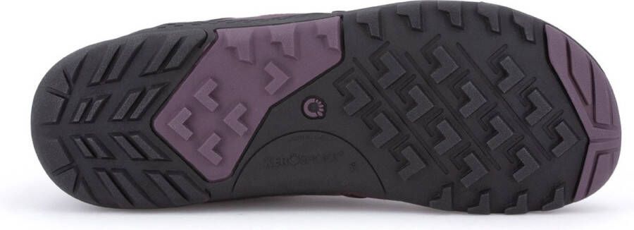 XERO SHOES Daylite Hiker Fusion Paars Vrouw