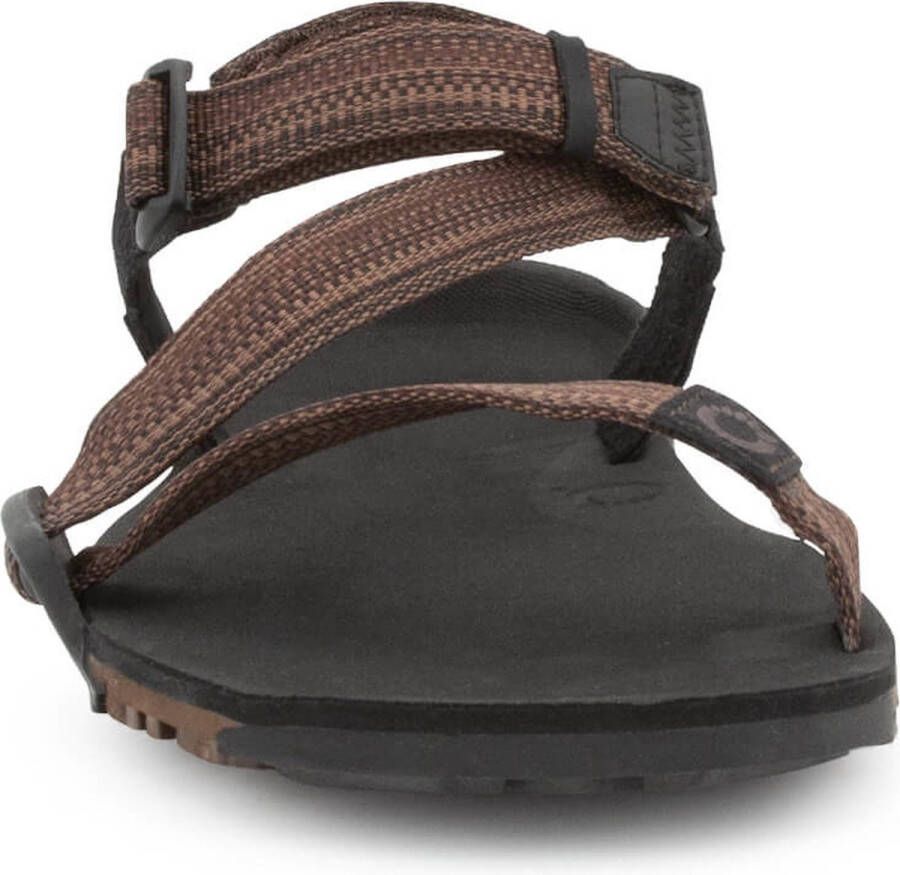 XERO SHOES Z-trail Ev Sandalen Bruin Man