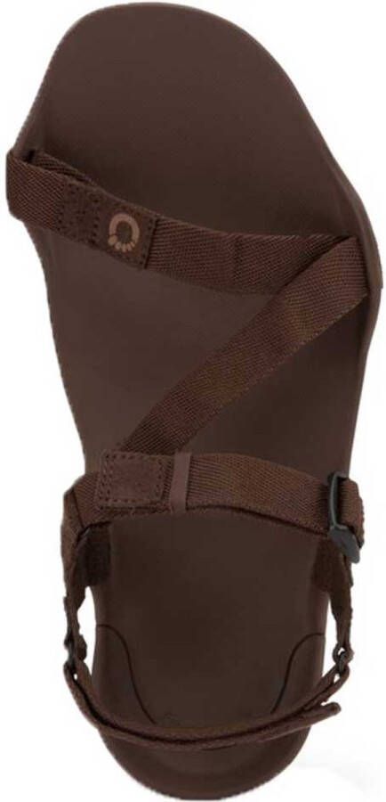 XERO SHOES Z-Trek II Sandalen Heren Brown