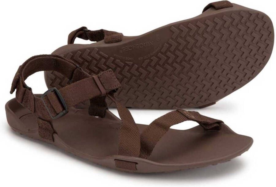 XERO SHOES Z-Trek II Sandalen Heren Brown