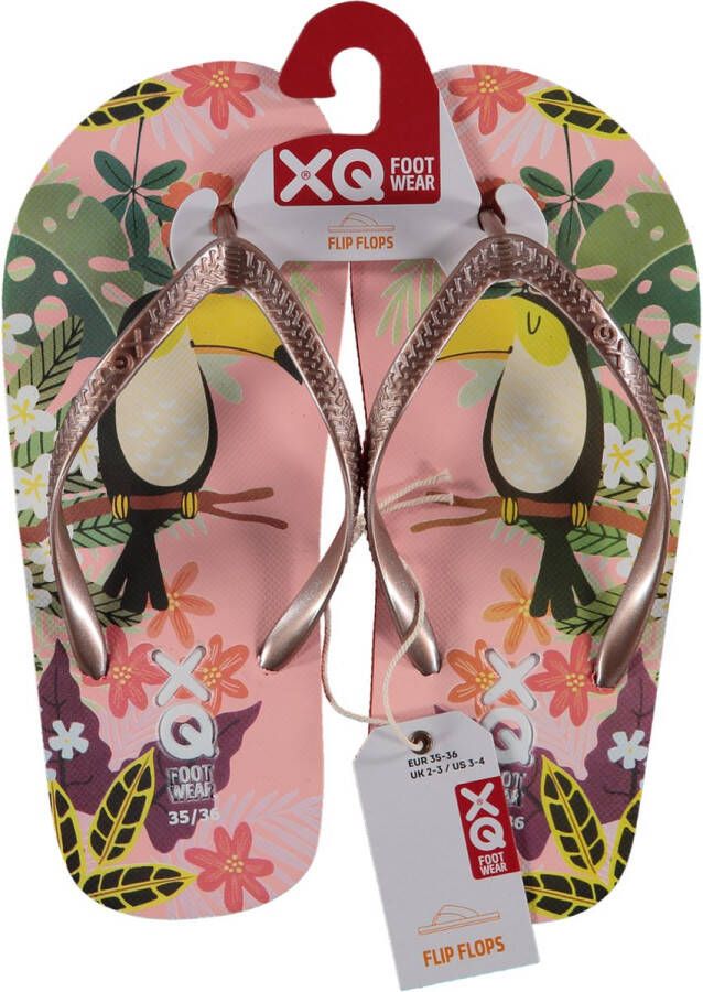 XQ Footwear Slippers Toekan Multi Color