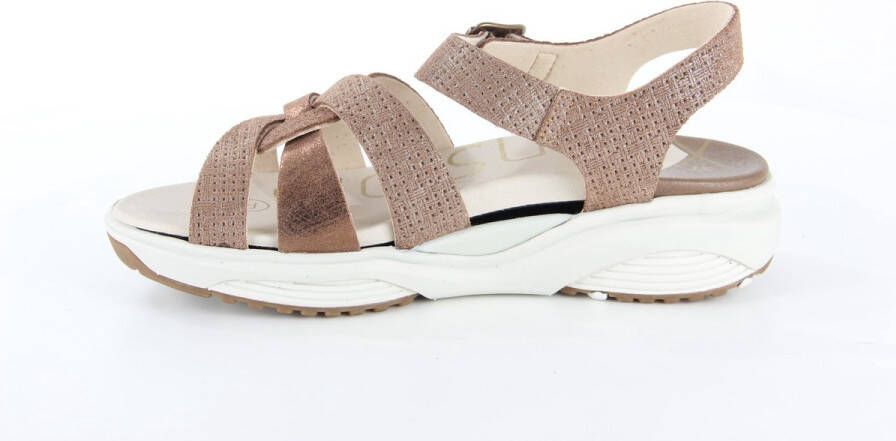 Xsensible Rhodos 30037.5 393 G bronze Brons - Foto 4