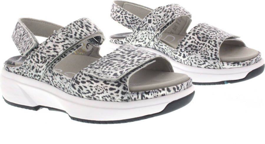 Xsensible Dames Sandalen Aruba Silver Fantasy Zilver