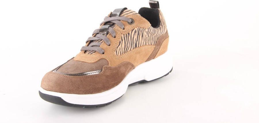 Xsensible Dames Veterschoenen Grenoble Nutmeg Bruin