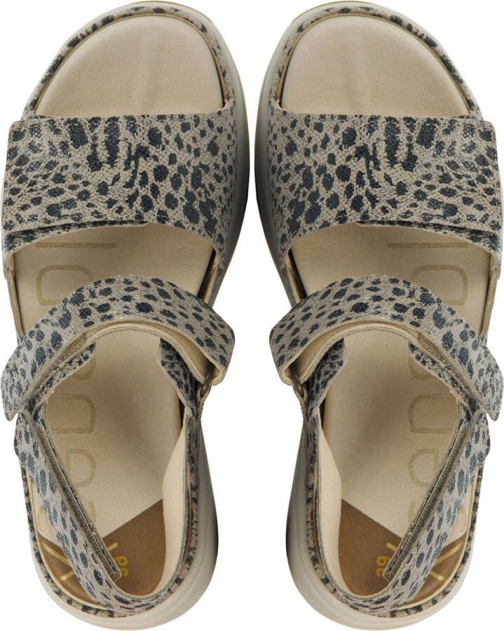 Xsensible Sandalen 30700.5 leop