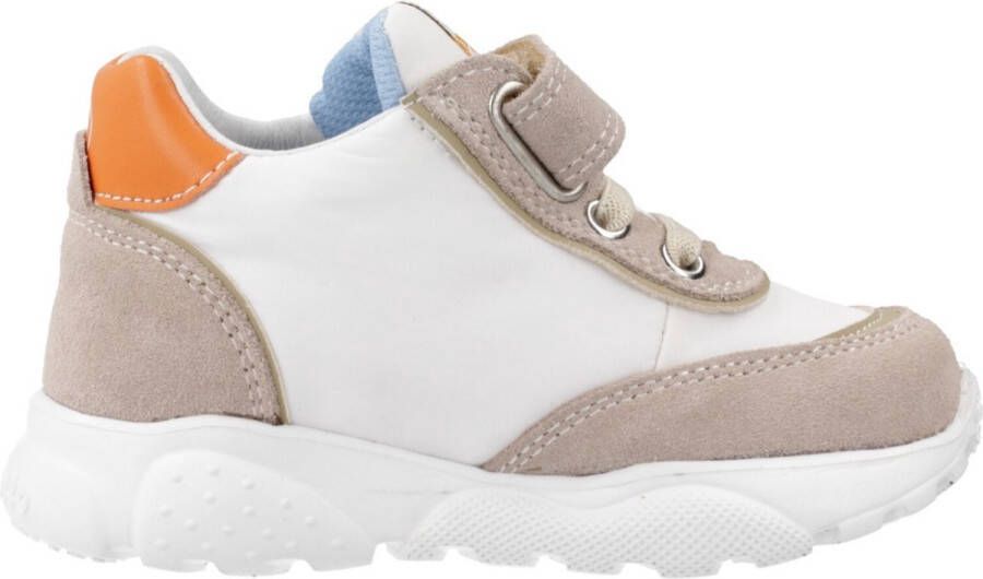 Falcotto Sneakers ANT VL.