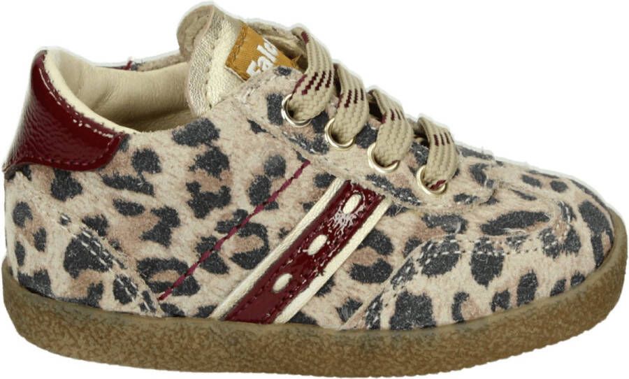 Falcotto SALEO SUEDE Lage schoenen Bruin