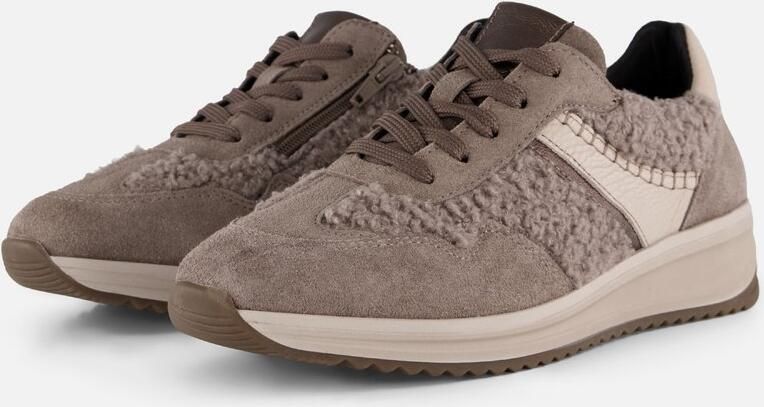 Feyn Sneakers taupe Suede