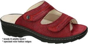 Fidelio Hallux -Dames bordeaux slippers & muiltjes