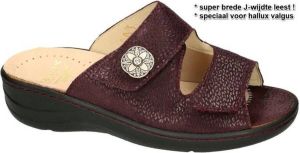 Fidelio Hallux -Dames purper slippers & muiltjes