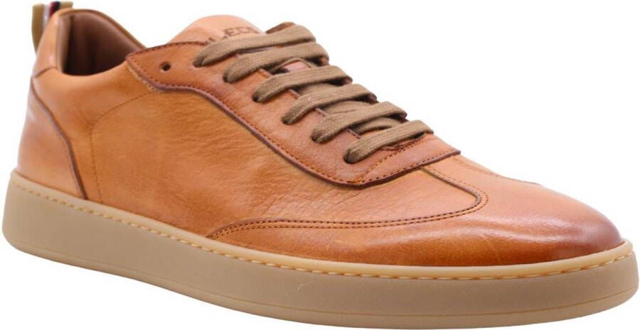 Flecs Muscadet Sneaker Stijlvol en Trendy Brown Heren - Foto 1