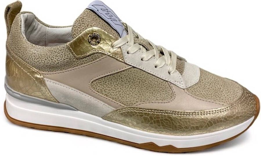 Floris van Bommel VINNI~05.44~~~~~~~~~~~~~~~~~~~ Lage sneakersDames sneakers Metallics - Foto 13