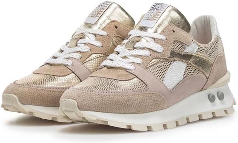 Floris van Bommel Blokki 07.05 Taupe G SFW-10157-34-02 TAUPE - Foto 4