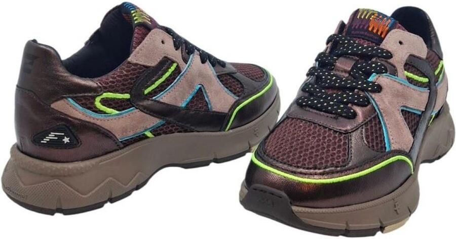 Floris van Bommel DAYSI 09.02 Lage sneakersDames sneakers Bruin
