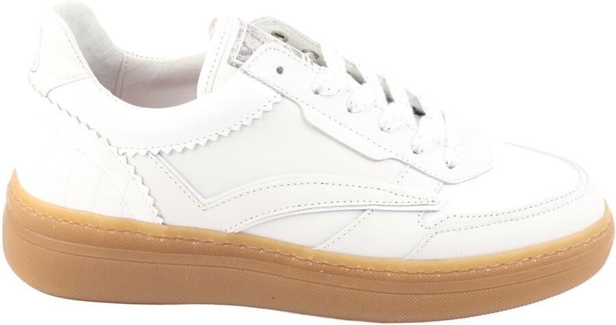 Floris van Bommel Fygi 01.03.SFW-10158-60