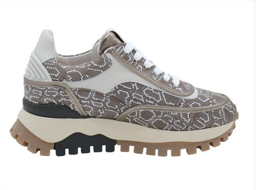 Floris van Bommel Grommi