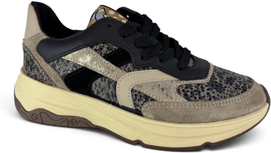 Floris van Bommel SNEAKER HOLLI