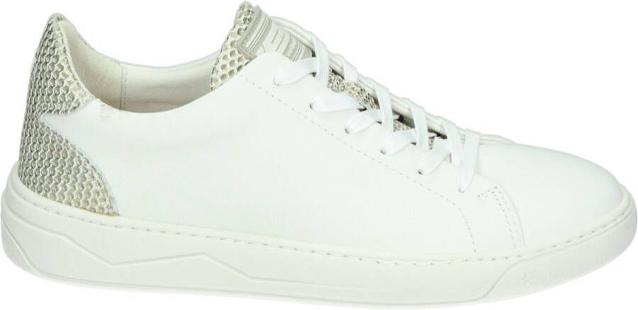Floris van Bommel SFW-10063-60-02~~~~~~~~~~~~~~~ Lage sneakersDames sneakers Wit beige - Foto 2