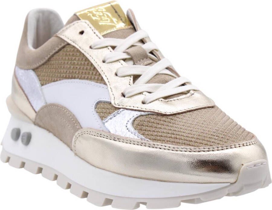 Floris van Bommel SFW-10098-91-02 Blokki 04.10 GOUD