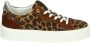 Floris van Bommel SFW-10106-23-01~~~~~~~~~~~~~~~ Lage sneakersDames sneakers Bruin - Thumbnail 3