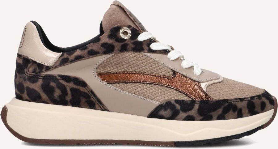 FLORIS VAN BOMMEL Lage Sneakers Dames Sfw-10138 Suvi Maat: 40 Materiaal: Suède Kleur: Taupe