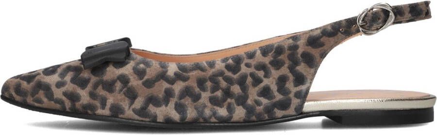 Floris van Bommel Sfw-40050 Hakken Dames Bruin