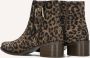 FLORIS VAN BOMMEL Enkellaarsjes Dames Sfw-50065 Evi Maat: 41 Materiaal: Suède Kleur: Bruin - Thumbnail 3