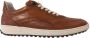 Floris van Bommel Sneaker SFM-10192-23-02 Cognac - Thumbnail 2