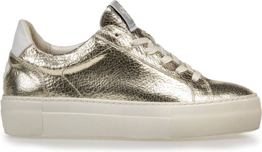 Floris van Floris van Bommel van Floris van Bommel Sneakers Dames Lage sneakers Damesschoenen Leer SFW-10059 Goud - Foto 4