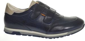 Fluchos F1187 Oceano