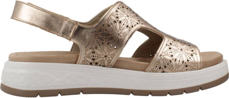 Fluchos F2007 Goud