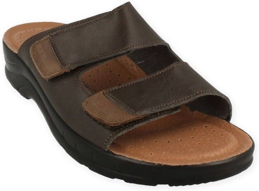 Fly FLOT ANATOMIC BRUIN