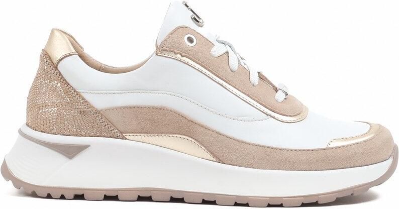 Footnotes beigemulti