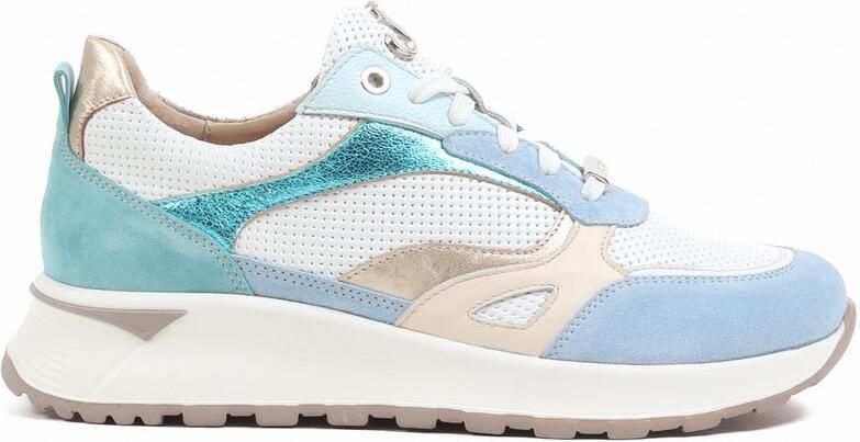 Footnotes blauwmulti