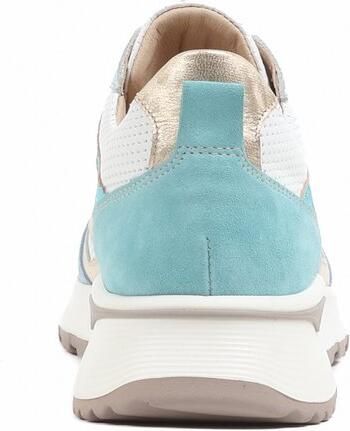 Footnotes blauwmulti